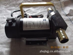 車載220v便攜銅芯電機抽油泵 廠家直銷