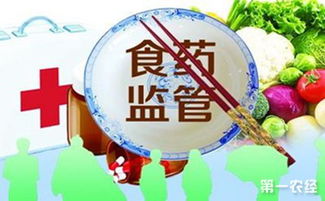 山東棗莊啟動春節(jié)期間食品藥品安全專項整治行動，聚焦藥品批發(fā)環(huán)節(jié)保障民生安全